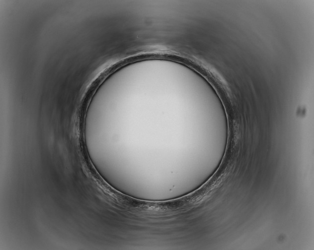 X0000099561318200806061531