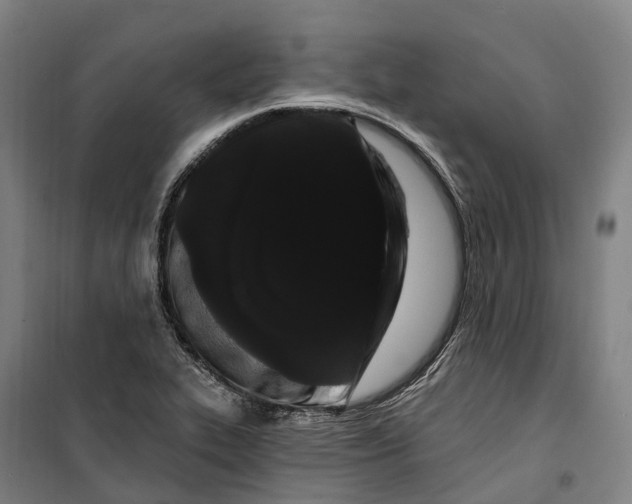 X0000099561319200806061531