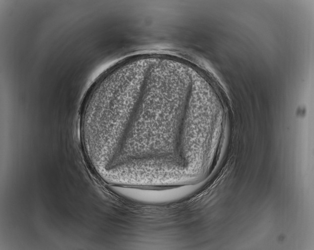 X0000099561320200806061531