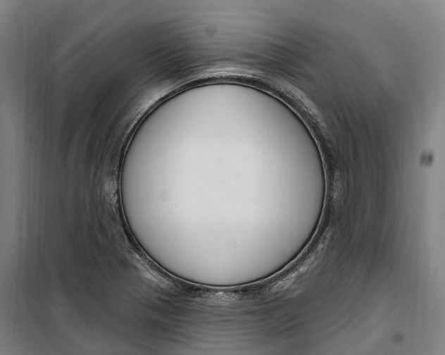 X0000099561321200806061531