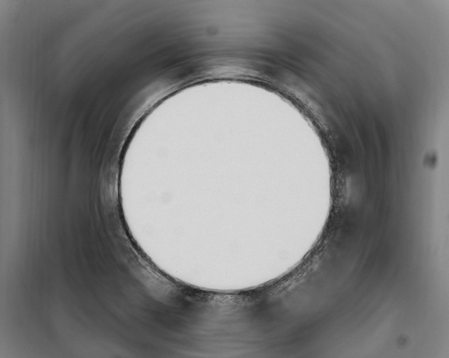 X0000099561322200806061531