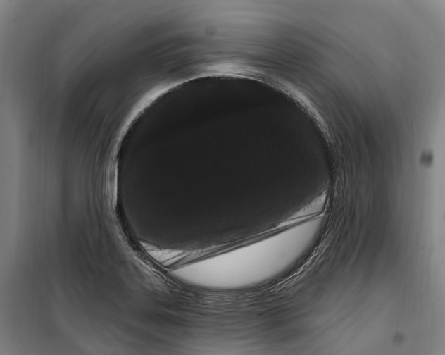 X0000099561323200806061531