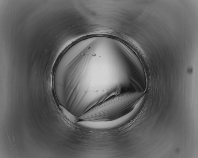 X0000099561324200806061531