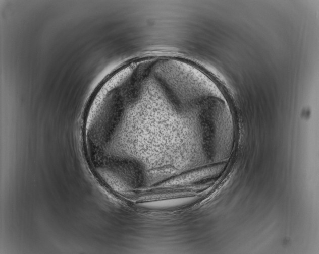 X0000099561325200806061531