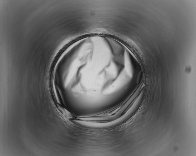 X0000099561326200806061531