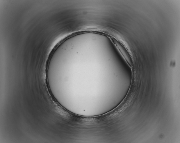 X0000099561328200806061531