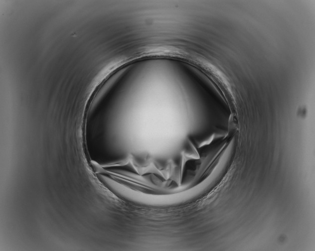 X0000099561330200806061531