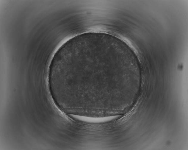 X0000099561331200806061531