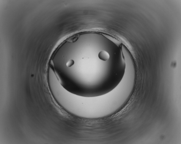 X0000099561332200806061531