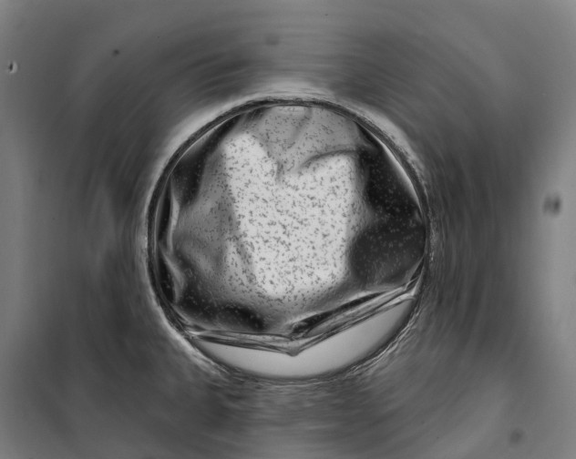 X0000099561335200806061531