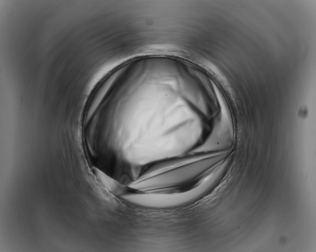 X0000099561336200806061531