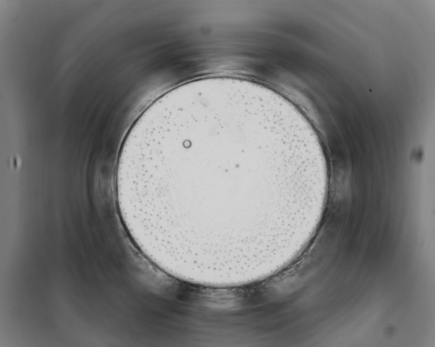 X0000099561338200806061531