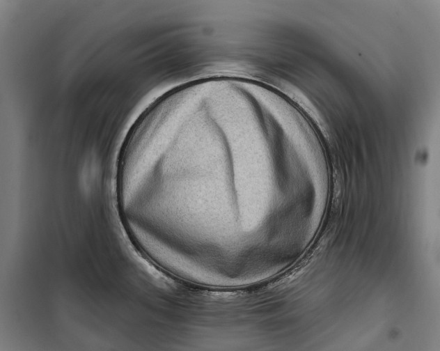 X0000099561339200806061531