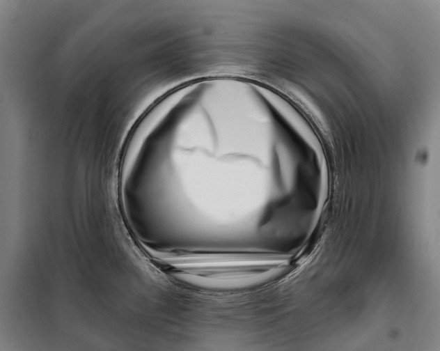 X0000099561340200806061531