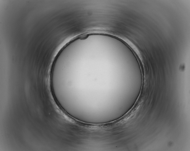 X0000099561341200806061531