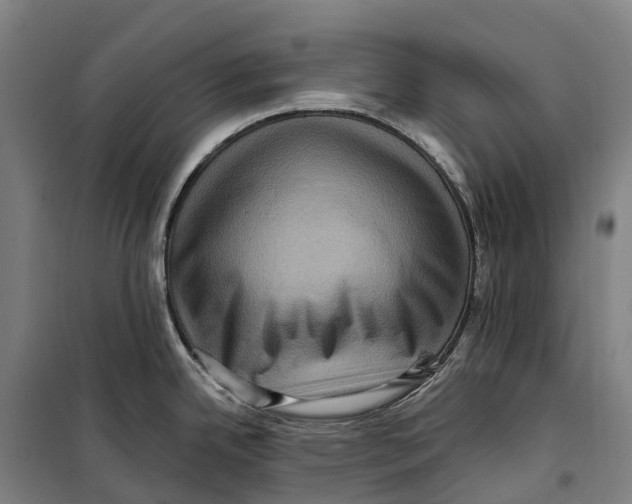 X0000099561342200806061531