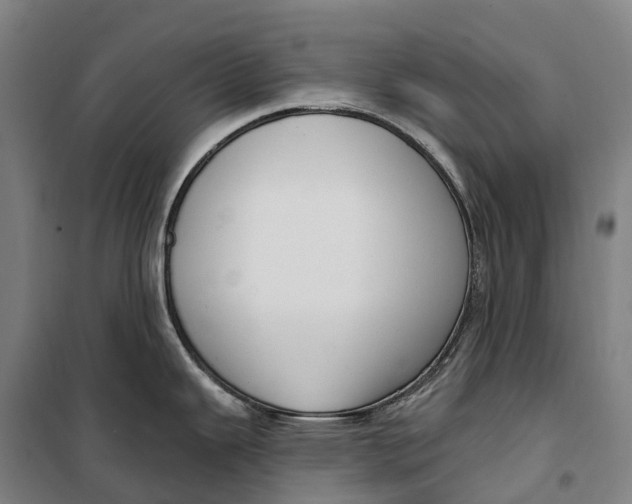 X0000099561343200806061531