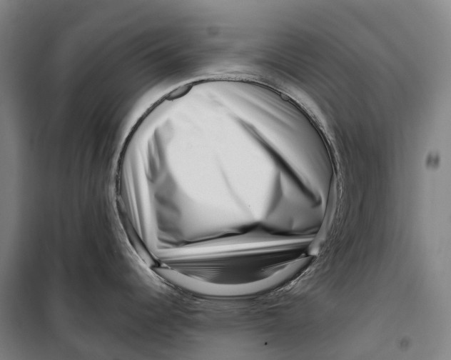 X0000099561344200806061531