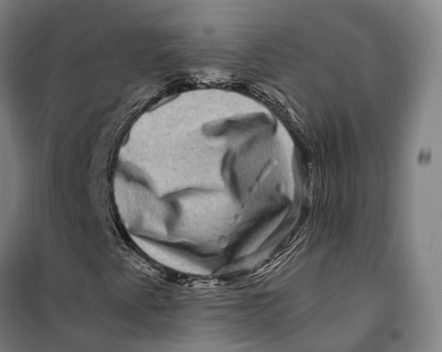 X0000099561345200806061530