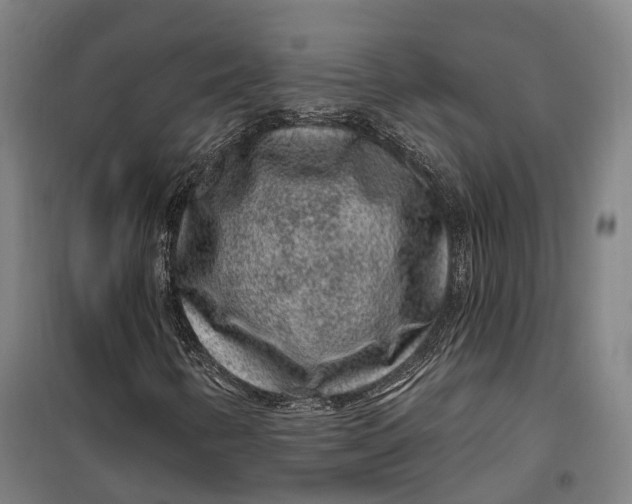 X0000099561346200806061530