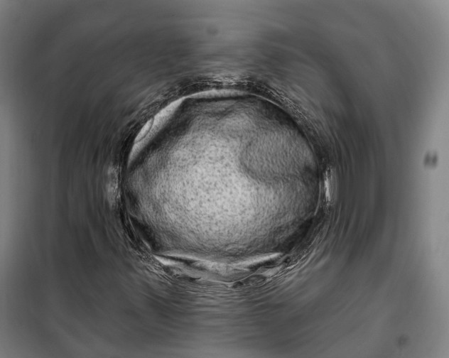 X0000099561347200806061530