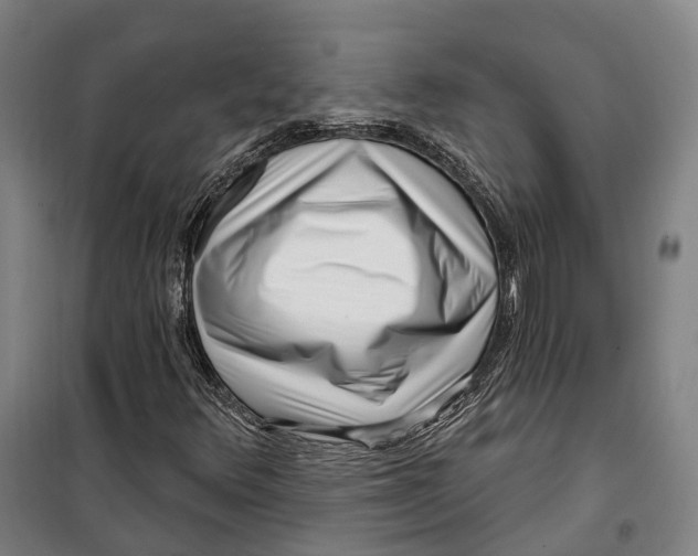 X0000099561348200806061530