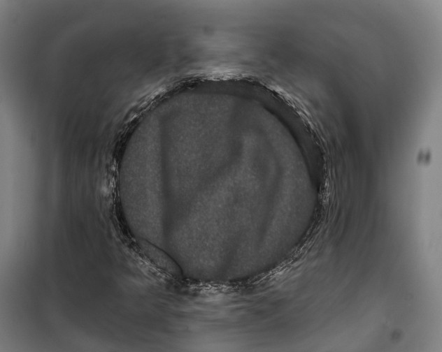 X0000099561349200806061530