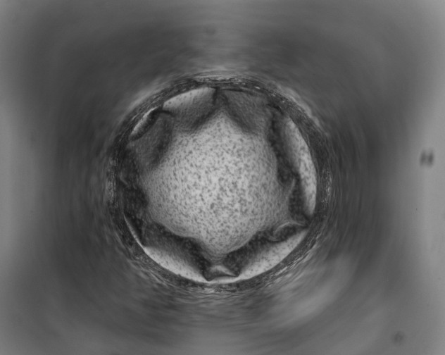 X0000099561350200806061530