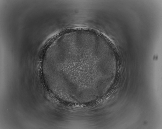 X0000099561351200806061530