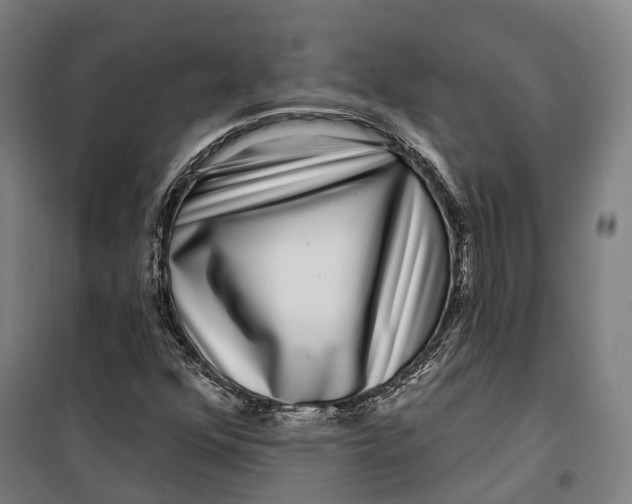 X0000099561352200806061530