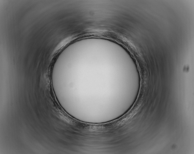 X0000099561354200806061530