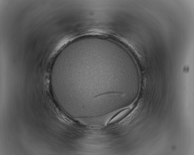 X0000099561355200806061530