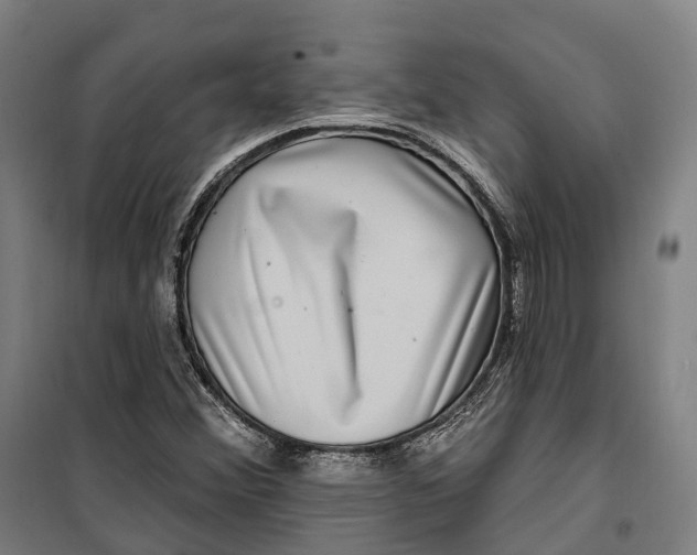 X0000099561356200806061530