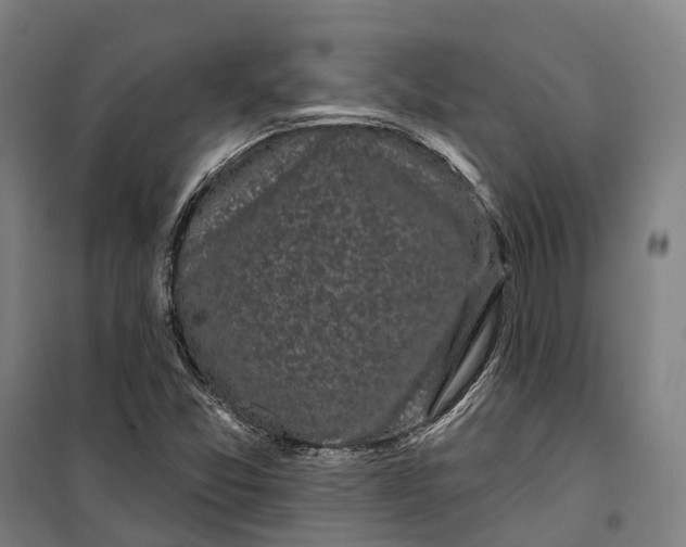 X0000099561357200806061530