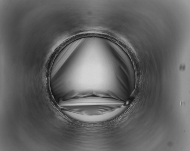 X0000099561360200806061530