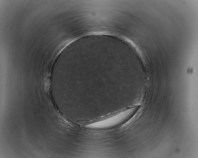 X0000099561361200806061530