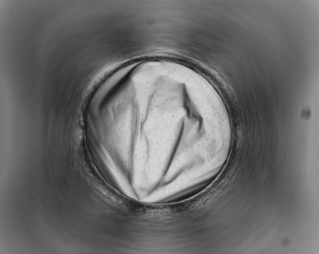 X0000099561363200806061530