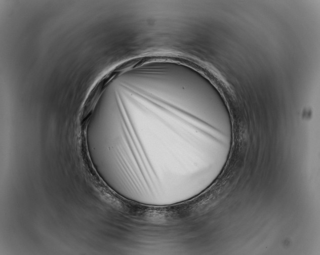 X0000099561364200806061530