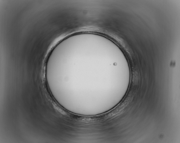 X0000099561366200806061530