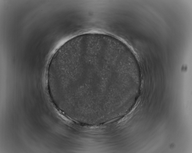 X0000099561367200806061530