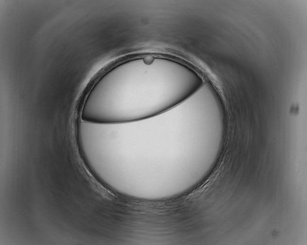 X0000099561368200806061530