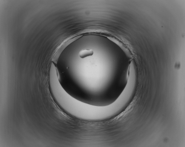 X0000099561369200806061530