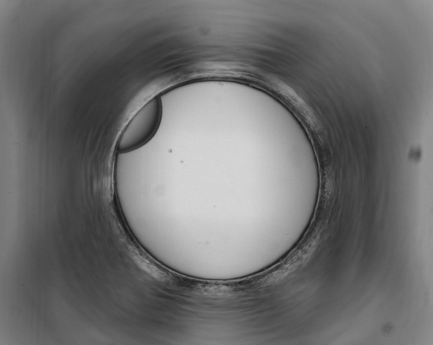 X0000099561370200806061530