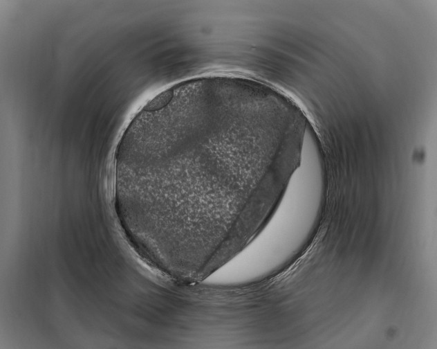 X0000099561371200806061530