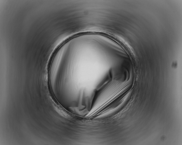 X0000099561372200806061530