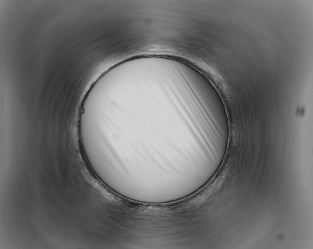 X0000099561374200806061530