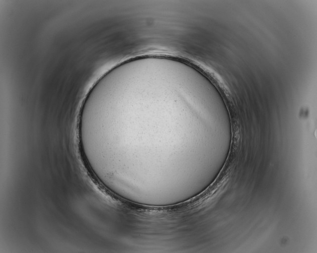 X0000099561375200806061530