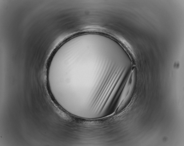 X0000099561376200806061530