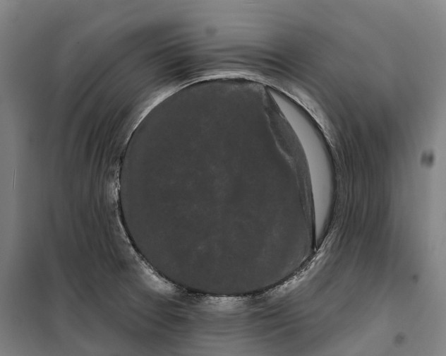 X0000099561377200806061530