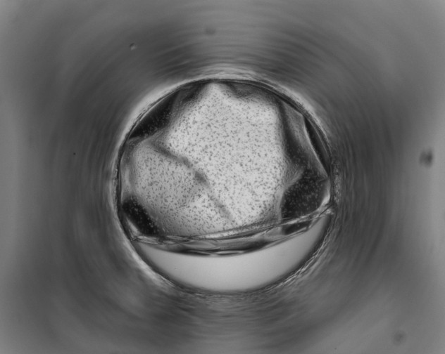 X0000099561379200806061530